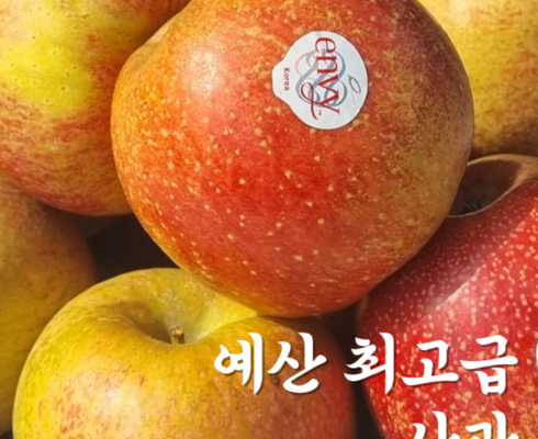 가성비최고 인제군 사과 5kg 1박스 베스트상품