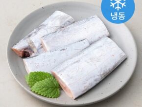 가성비최고 제주은갈치16토막삼치살250g4팩( 총1kg 베스트상품