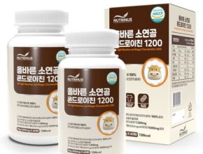 가성비최고 올바른영양 뉴트리너스 프로테오글리칸 소연골 콘드로이친 12개월 베스트상품