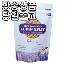 어쩌면 마지막기회  더블구성루피니빈 Best5