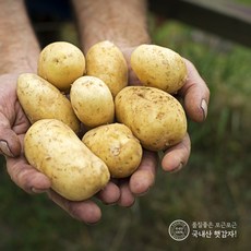 이달의 추천상품  수미감자 실시간 인기상품