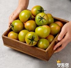 방송인기상품 짭짤이토마토 Best5