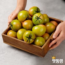 방송인기상품 짭짤이토마토 Best5