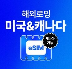 이달의 추천상품  미국유심 Best5