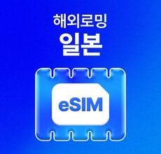 이게 가성비다 esim일본 후기