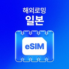 이게 가성비다 esim일본 후기